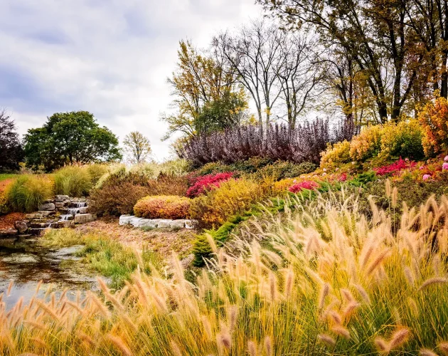 2017-JWS-5117-2048optimize