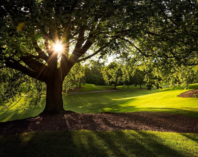 dundas-wedding-venue-7